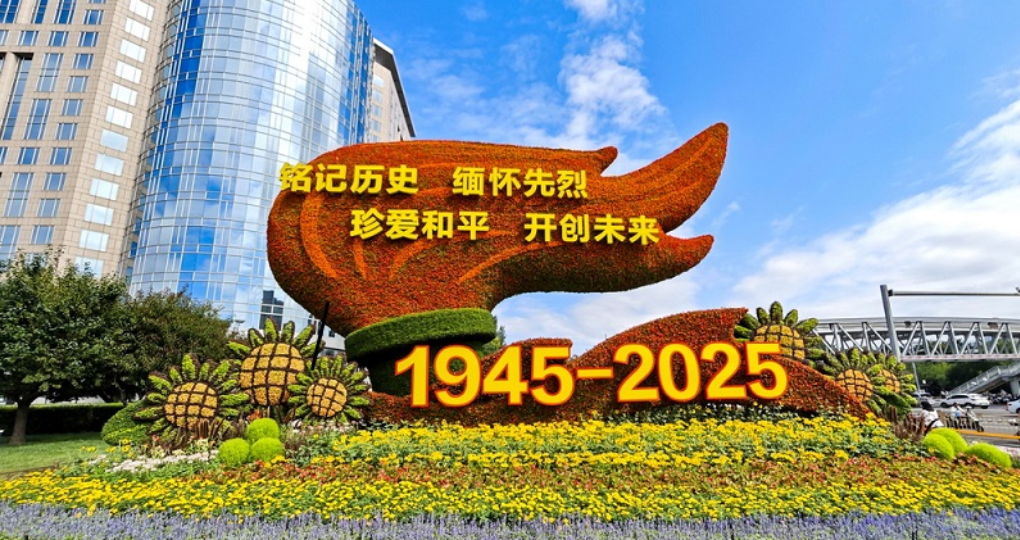 纪念抗战胜利80周年主题花坛亮相