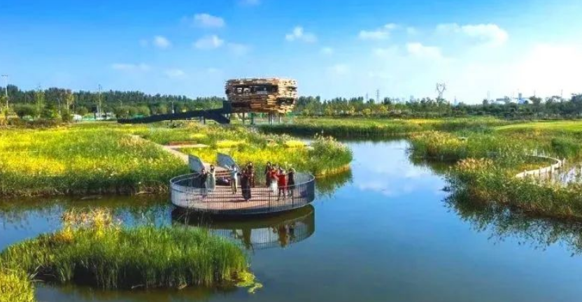 疏整促剪影丨变化天天见:水清岸明 鸟儿组团出道 疏整促剪影丨变化天天见:水清岸明 鸟儿组团出道