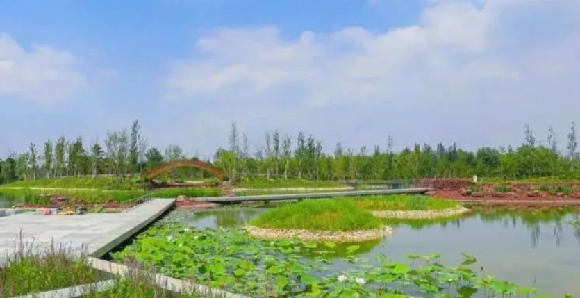 疏整促剪影丨变化天天见:水清岸明 鸟儿组团出道 疏整促剪影丨变化天天见:水清岸明 鸟儿组团出道