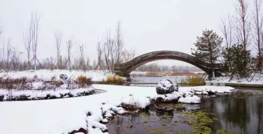 疏整促剪影丨变化天天见:水清岸明 鸟儿组团出道 疏整促剪影丨变化天天见:水清岸明 鸟儿组团出道
