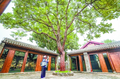 东城区青云胡同甲23-29号院落经修缮后，古树、古井、历史建筑的旧貌得以保存，并融入了现代气息。