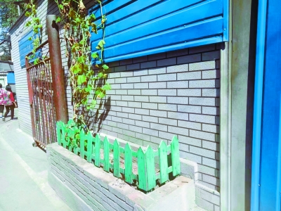 胡同里好不容易辟出一处小花池,管护却不如人意。(王可心摄).jpg 胡同里好不容易辟出一处小花池,管护却不如人意。(王可心摄).jpg