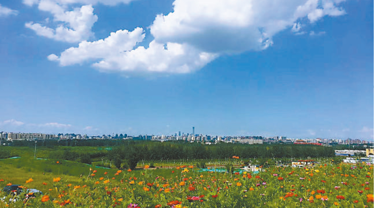 在南苑森林湿地公园启动区，已遍植香花绿树。