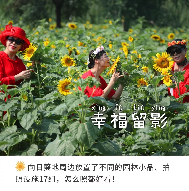 幸福留影