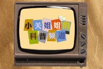 14.《小关姐姐的科普日常系列》
