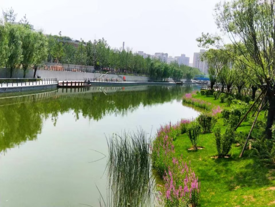 亮马河（蓝色港湾段）自然生态功能