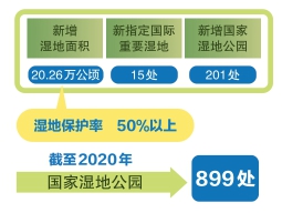 “十三五”期间我国新增湿地面积20.26万公顷