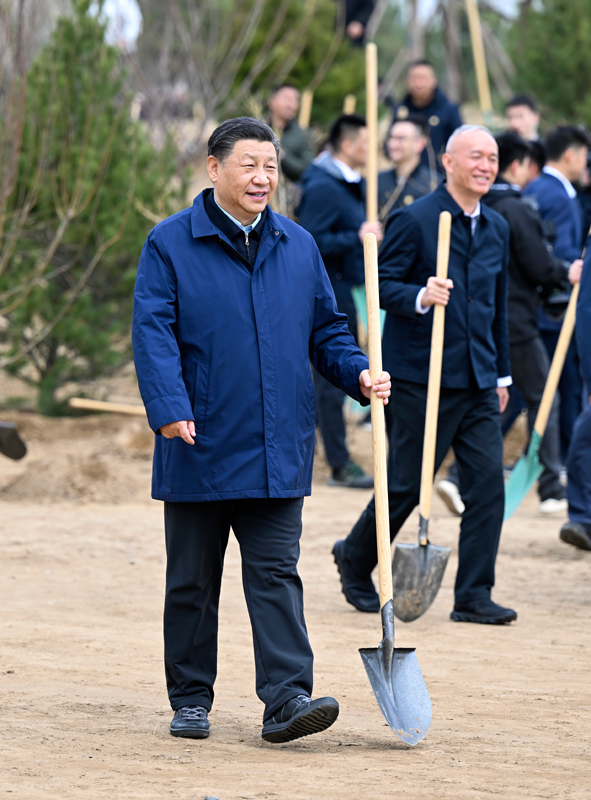 3月30日，党和国家领导人习近平、李克强、栗战书、汪洋、王沪宁、赵乐际、韩正、王岐山等来到北京市大兴区黄村镇参加首都义务植树活动。这是习近平拿起铁锹走向植树地点。