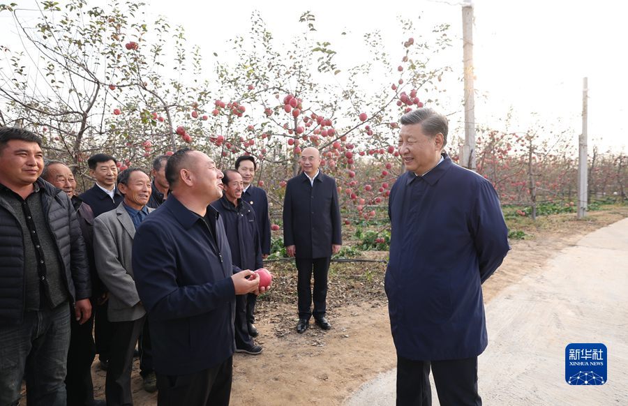 10月26日至28日，中共中央总书记、国家主席、中央军委主席习近平在陕西省延安市、河南省安阳市考察。这是26日下午，习近平在延安市安塞区高桥镇南沟村苹果园同老乡们亲切交流。