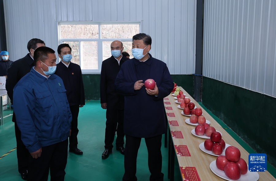 10月26日至28日，中共中央总书记、国家主席、中央军委主席习近平在陕西省延安市、河南省安阳市考察。这是26日下午，习近平在延安市安塞区高桥镇南沟村苹果洗选车间，察看当地种植的苹果。