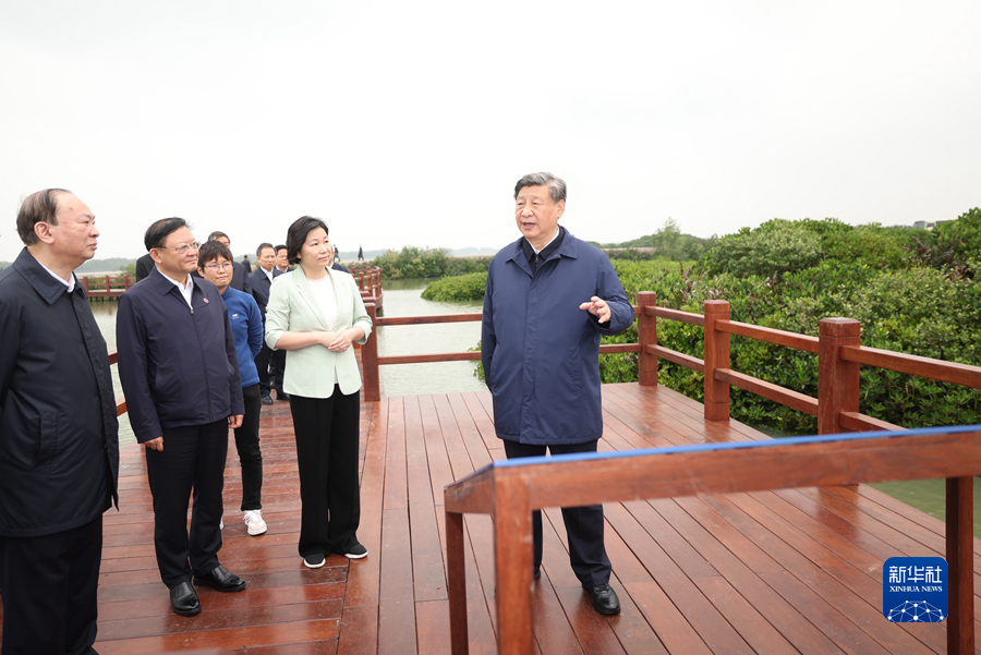 4月10日至13日，中共中央总书记、国家主席、中央军委主席习近平在广东考察。这是10日上午，习近平在湛江市麻章区湖光镇金牛岛红树林片区考察。