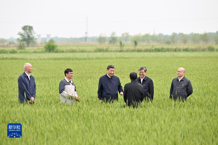 5月11日至12日，中共中央总书记、国家主席、中央军委主席习近平在河北考察，并主持召开深入推进京津冀协同发展座谈会。这是11日上午，习近平在沧州市黄骅市旧城镇仙庄片区旱碱地麦田考察时，同种植户、农技专家亲切交流。
