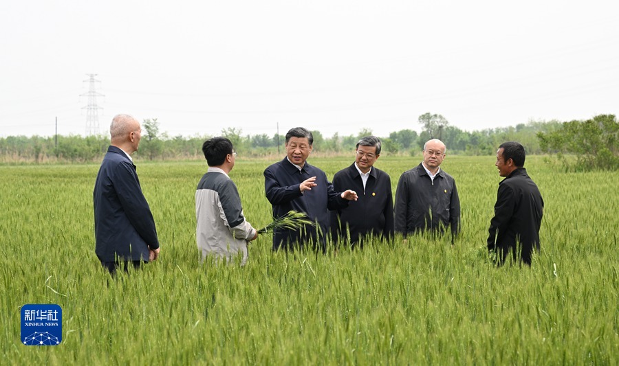 5月11日至12日，中共中央总书记、国家主席、中央军委主席习近平在河北考察，并主持召开深入推进京津冀协同发展座谈会。这是11日上午，习近平在沧州市黄骅市旧城镇仙庄片区旱碱地麦田考察时，同种植户、农技专家亲切交流。