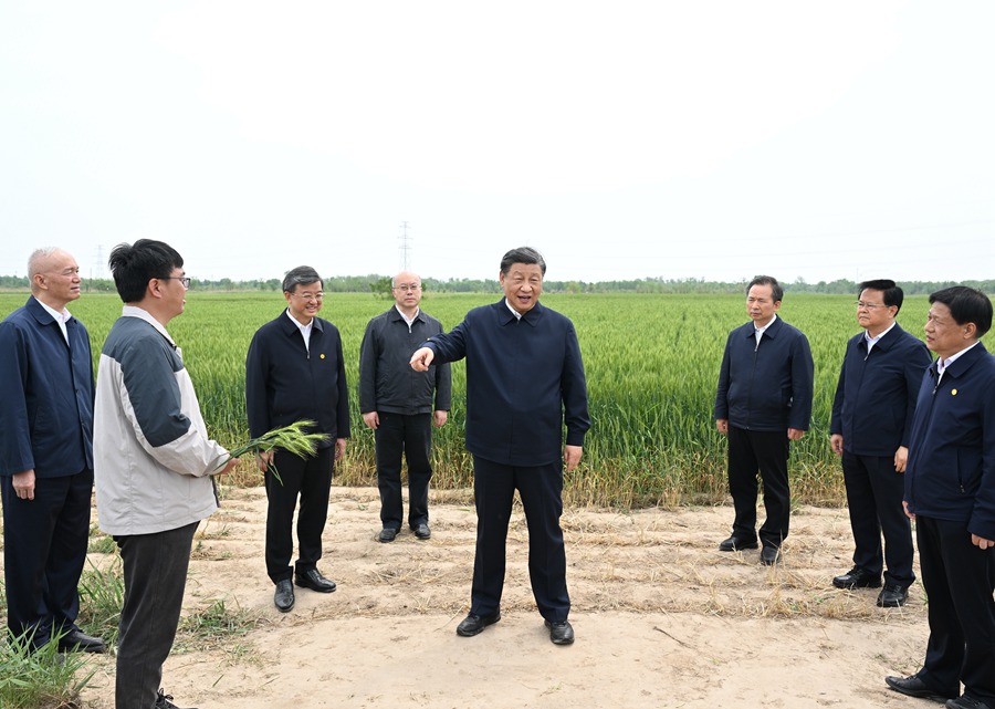 5月11日至12日，中共中央总书记、国家主席、中央军委主席习近平在河北考察，并主持召开深入推进京津冀协同发展座谈会。这是11日上午，习近平在沧州市黄骅市旧城镇仙庄片区旱碱地麦田考察。