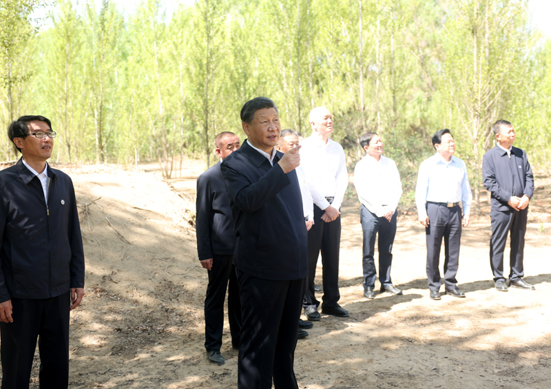 6月5日至6日,中共中央总书记、国家主席、中央军委主席习近平在内蒙古巴彦淖尔考察,并主持召开加强荒漠化综合防治和推进“三北”等重点生态工程建设座谈会。这是6日上午,习近平在临河区国营新华林场考察。 6月5日至6日,中共中央总书记、国家主席、中央军委主席习近平在内蒙古巴彦淖尔考察,并主持召开加强荒漠化综合防治和推进“三北”等重点生态工程建设座谈会。这是6日上午,习近平在临河区国营新华林场考察。