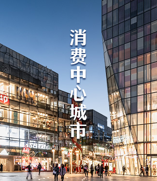 消费中心城市