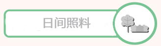 日间照料.png