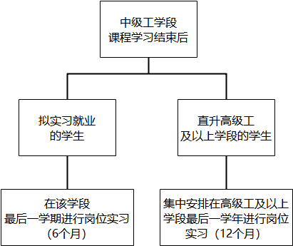 学生岗位实习的时长是多久