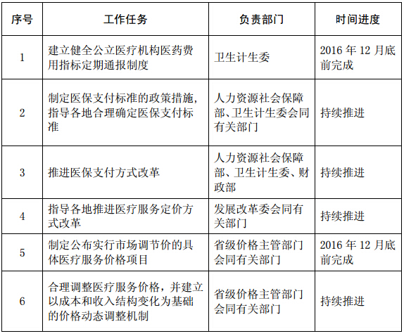 部分重点工作任务分工及进度安排表