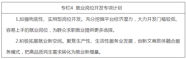 专栏4  就业岗位开发专项计划.png