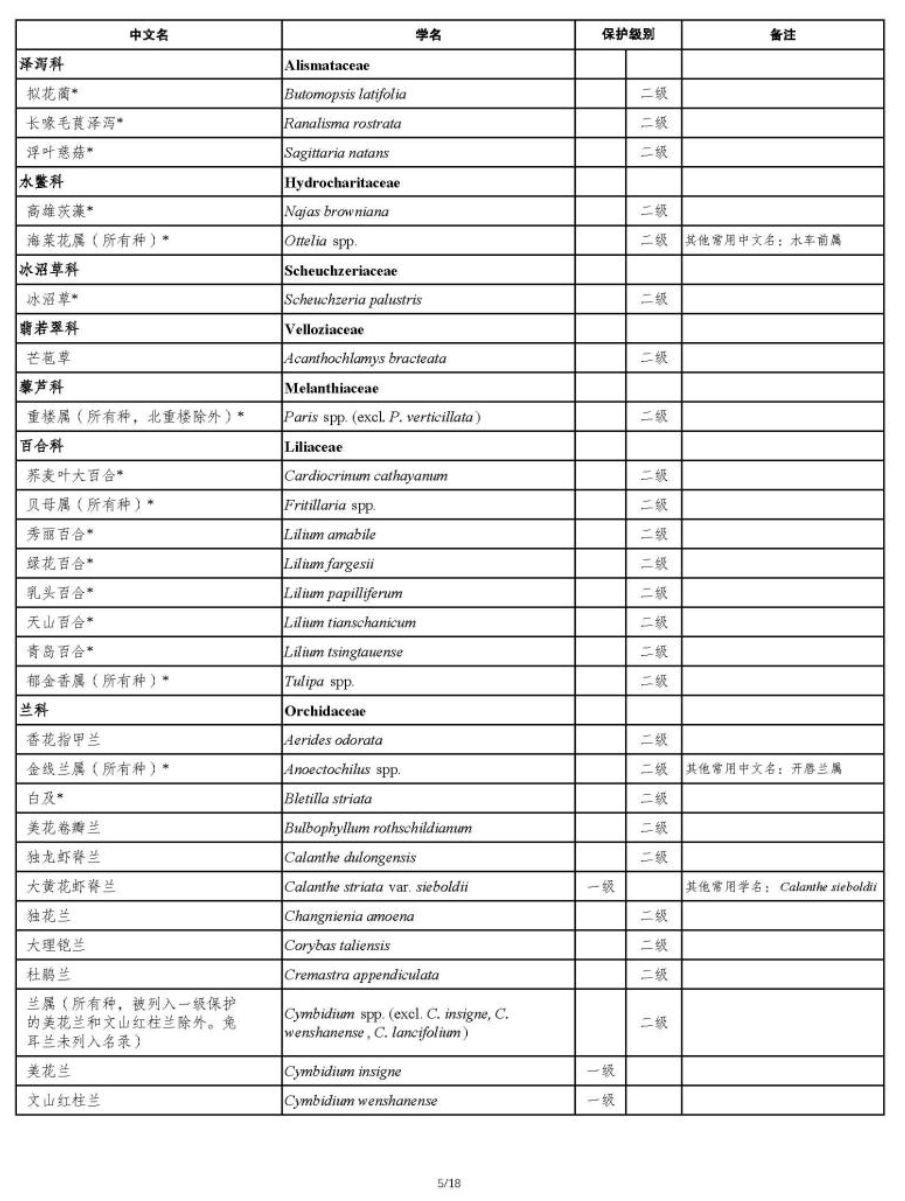 国家重点保护野生植物