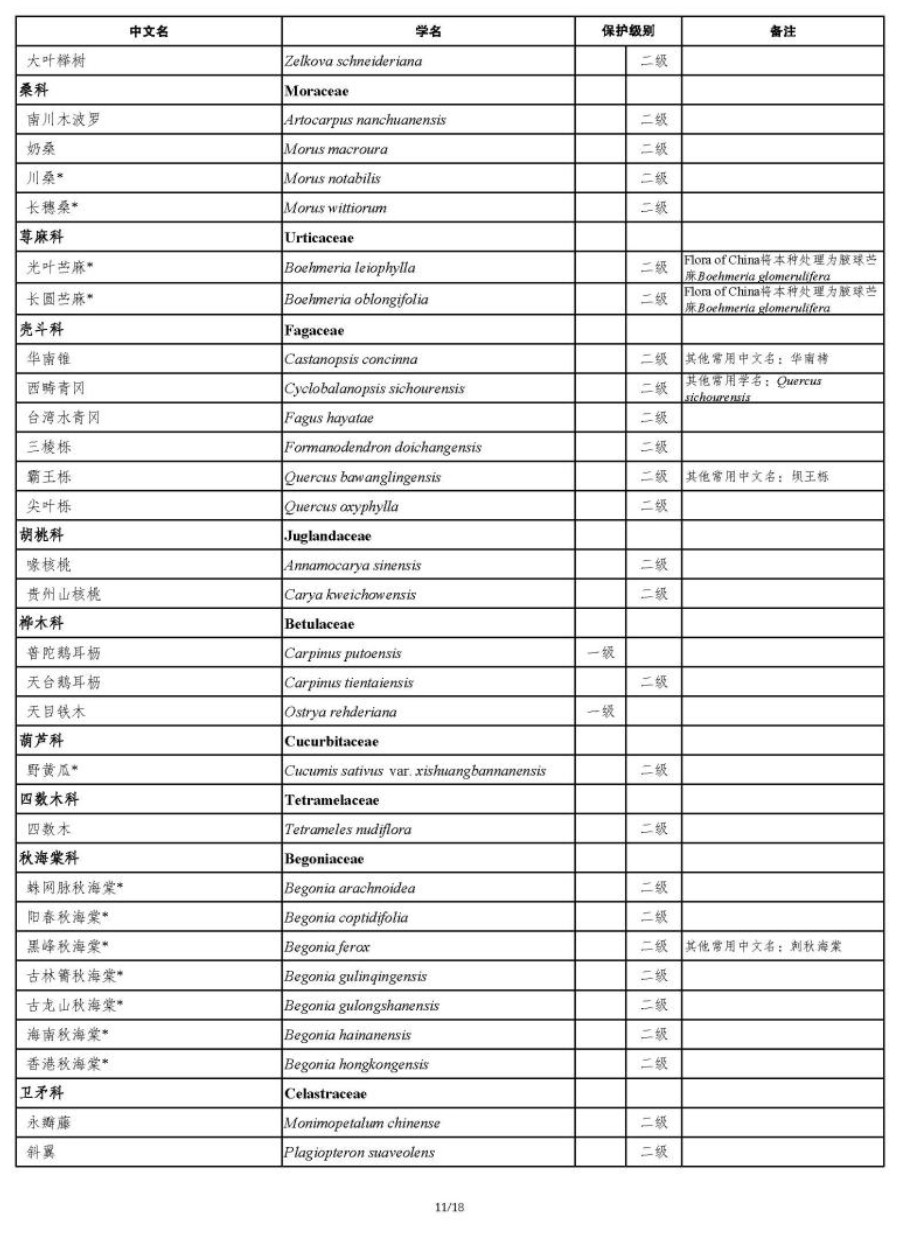 国家重点保护野生植物