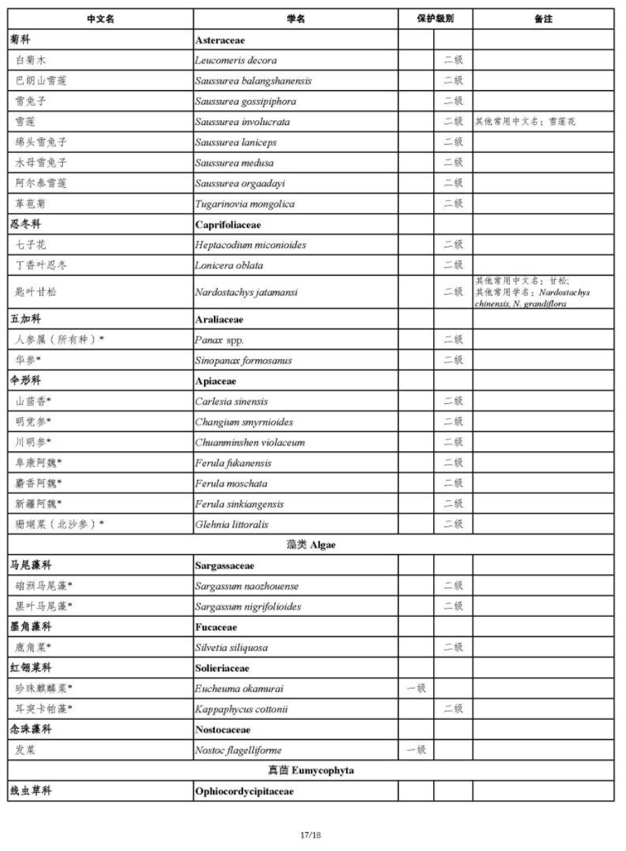 国家重点保护野生植物
