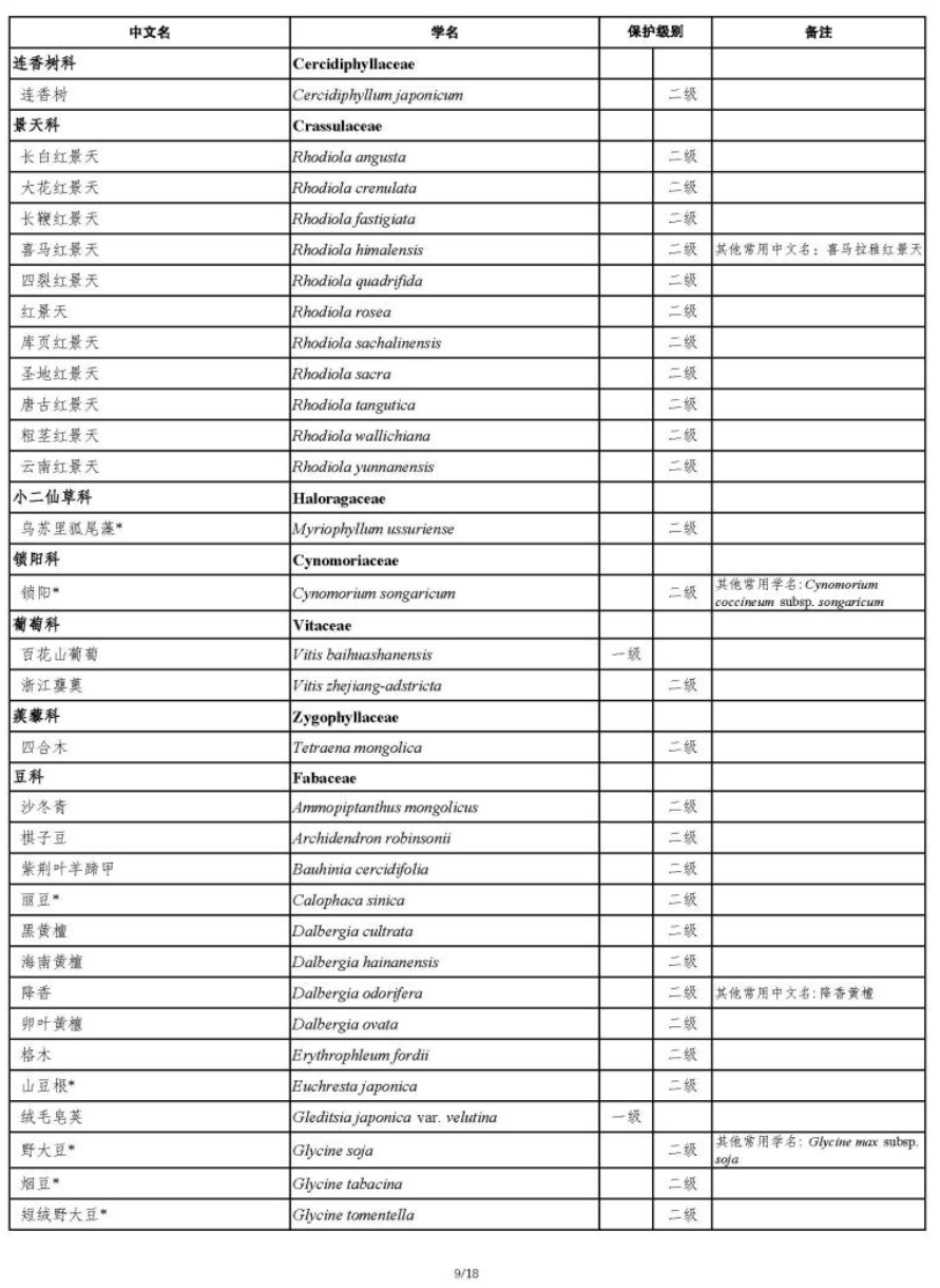国家重点保护野生植物
